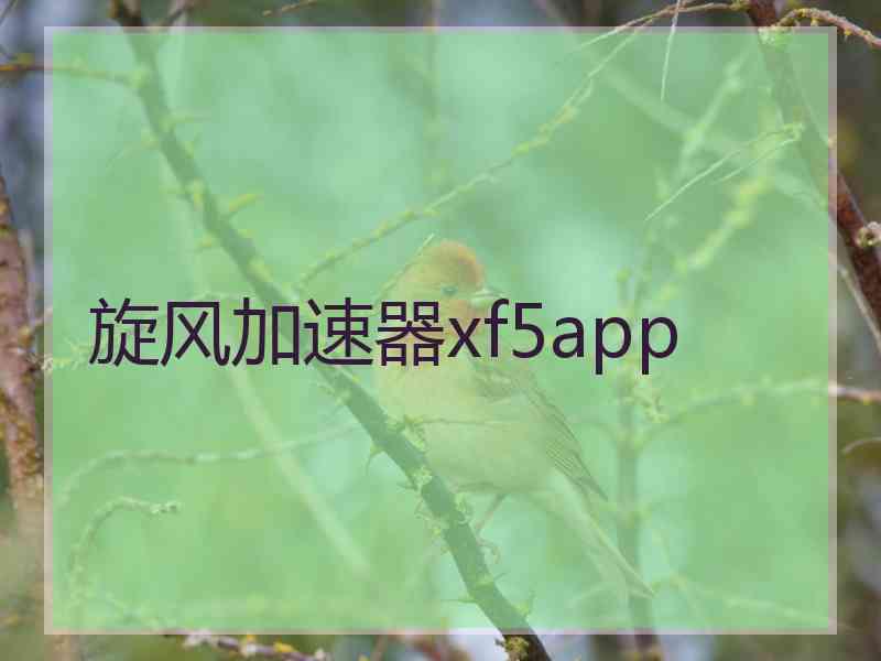 旋风加速器xf5app