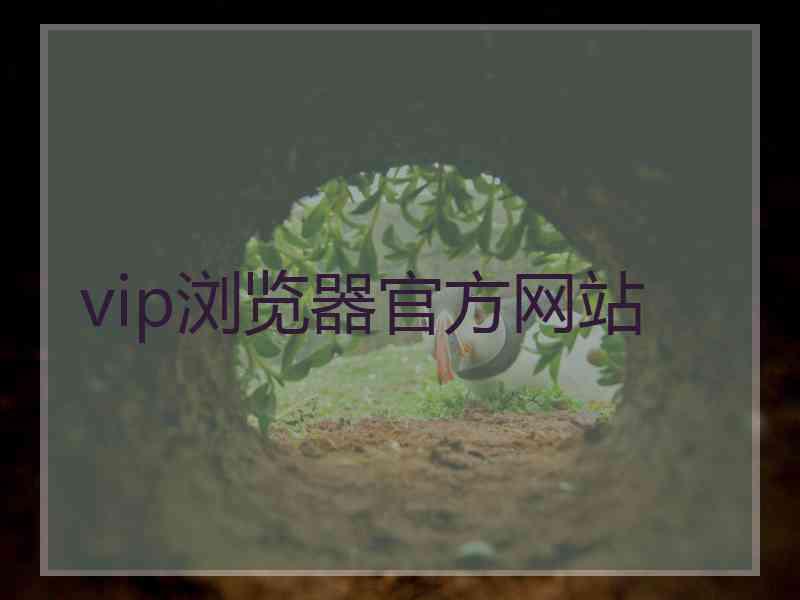 vip浏览器官方网站