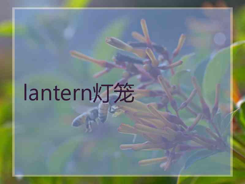 lantern灯笼