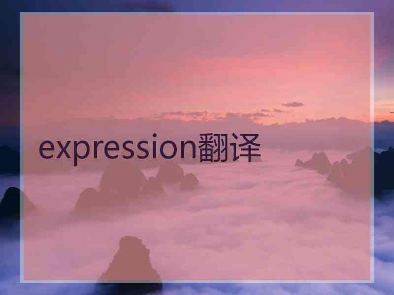 expression翻译