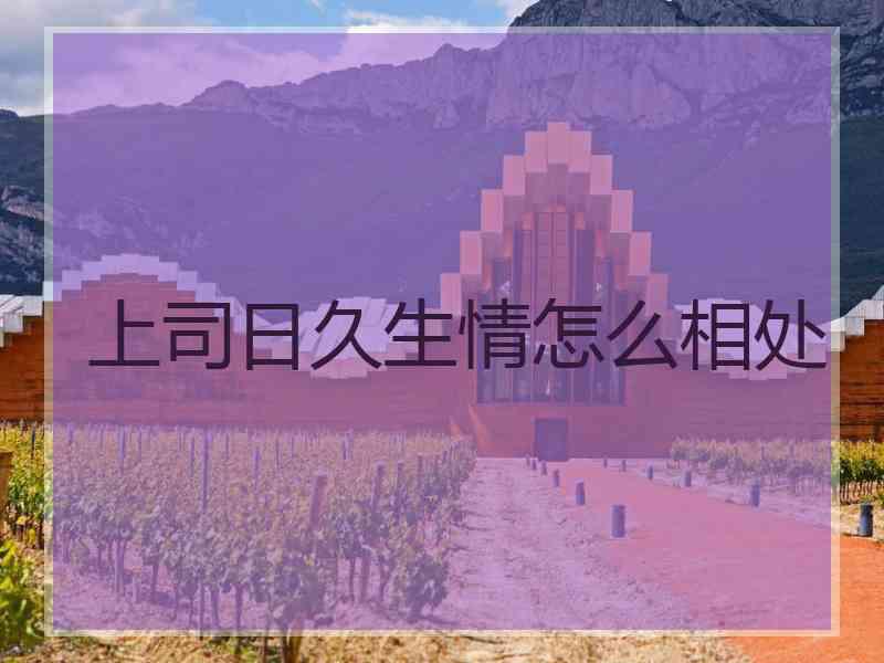 上司日久生情怎么相处