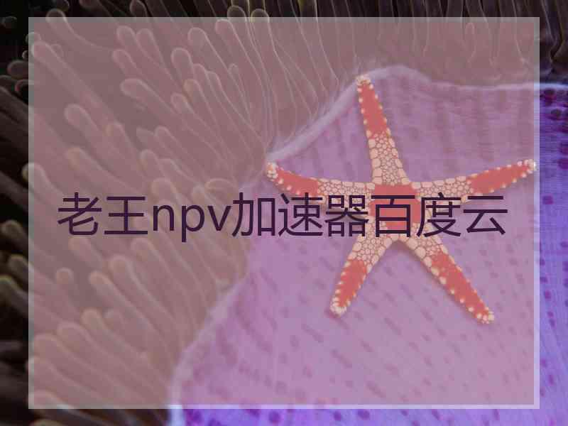 老王npv加速器百度云