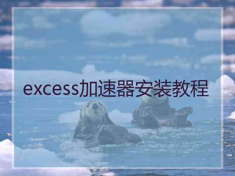 excess加速器安装教程