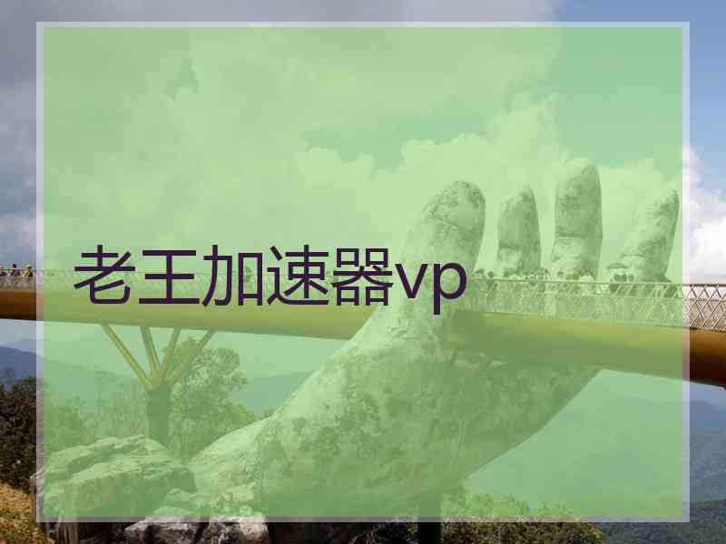 老王加速器vp