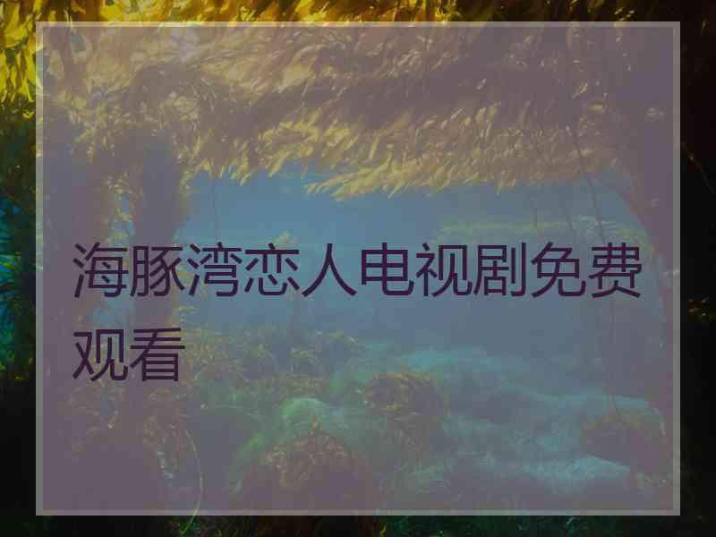 海豚湾恋人电视剧免费观看