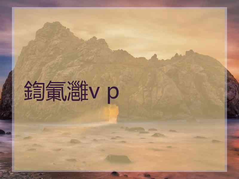 鍧氭灉v p