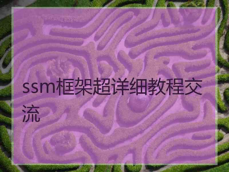 ssm框架超详细教程交流