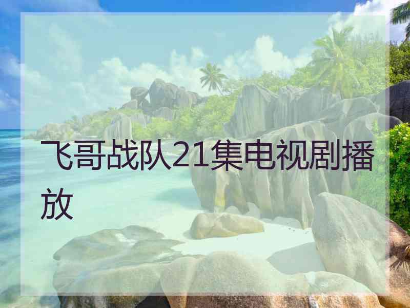 飞哥战队21集电视剧播放