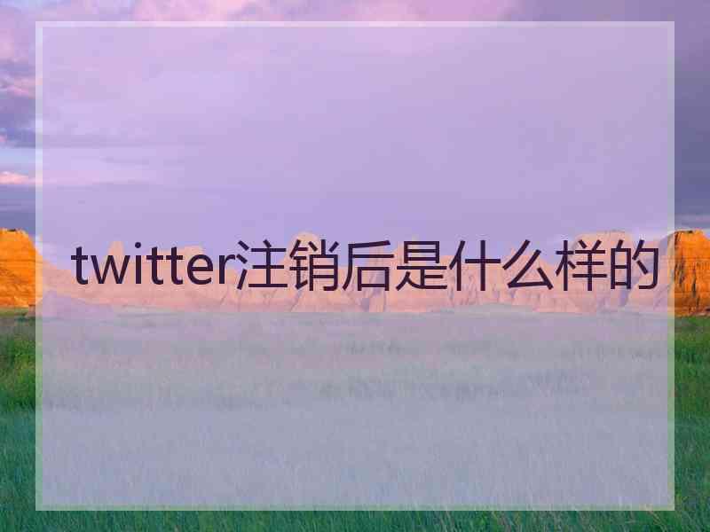 twitter注销后是什么样的