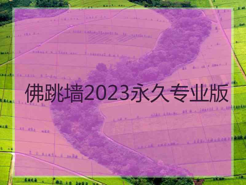 佛跳墙2023永久专业版