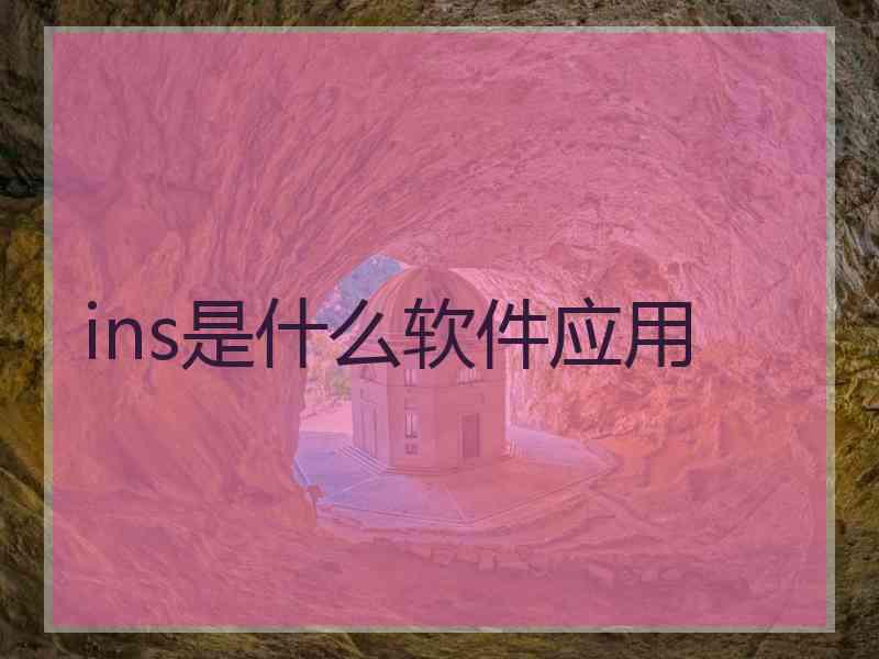 ins是什么软件应用