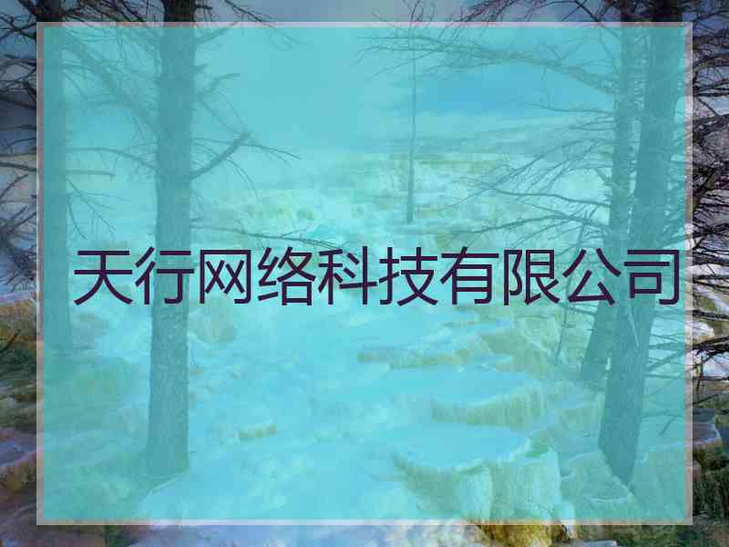 天行网络科技有限公司