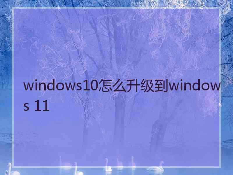 windows10怎么升级到windows 11