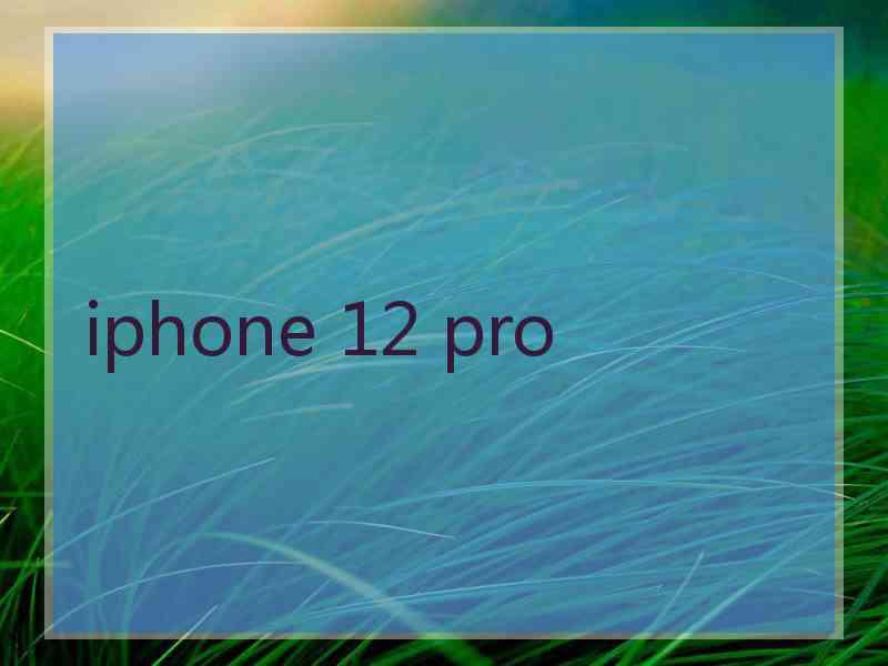 iphone 12 pro