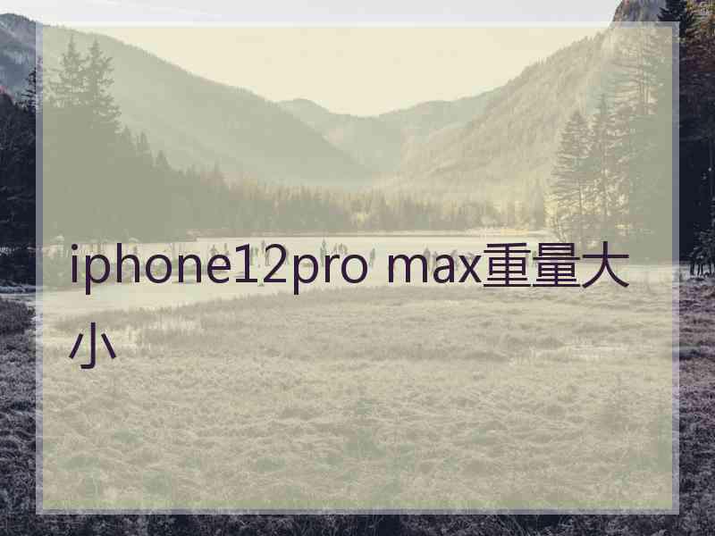 iphone12pro max重量大小