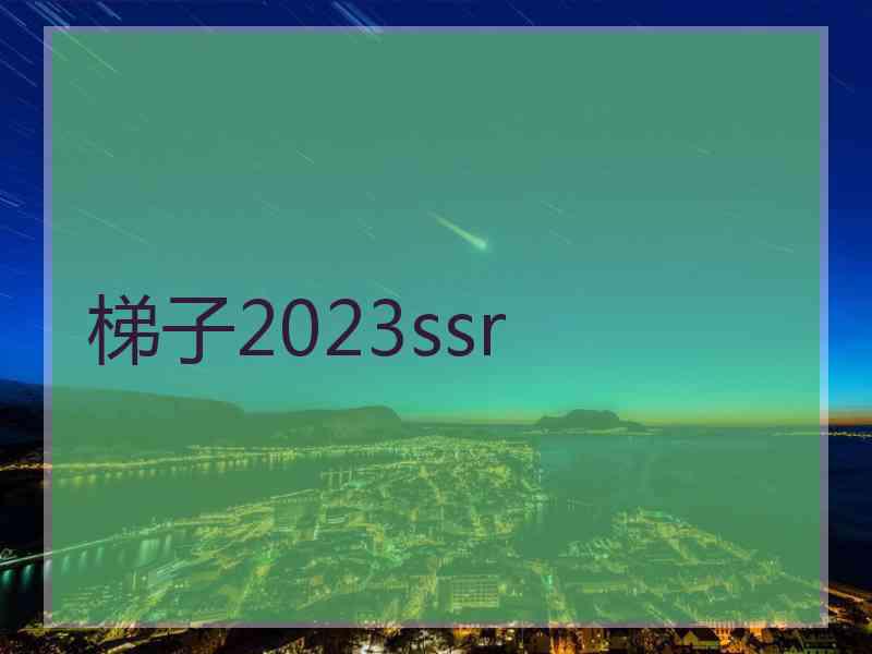 梯子2023ssr