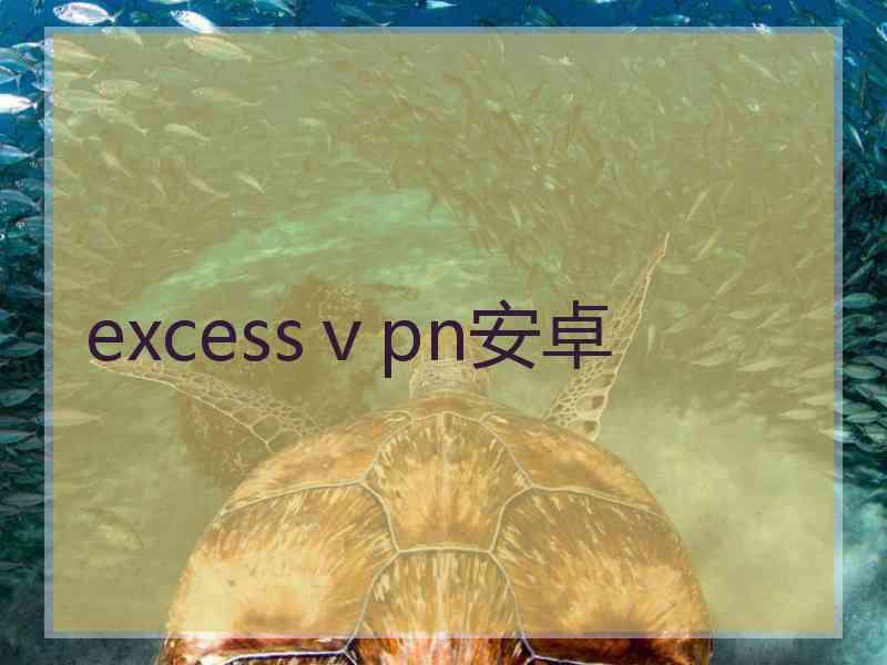 excessⅴpn安卓