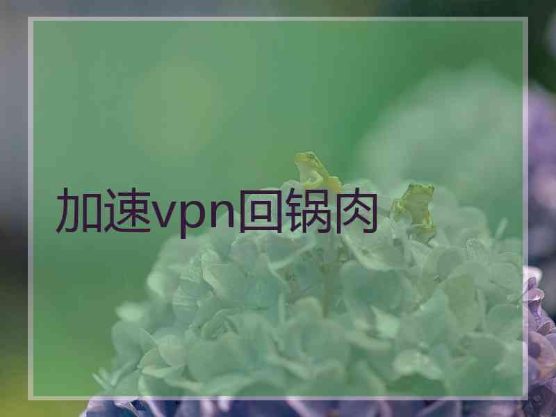 加速vpn回锅肉