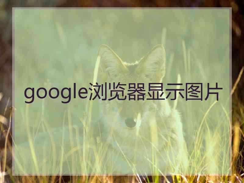 google浏览器显示图片