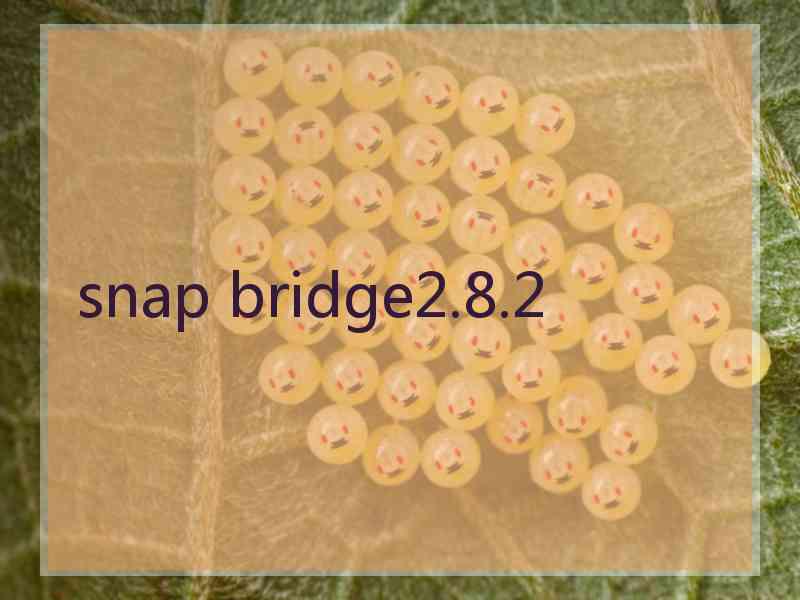 snap bridge2.8.2