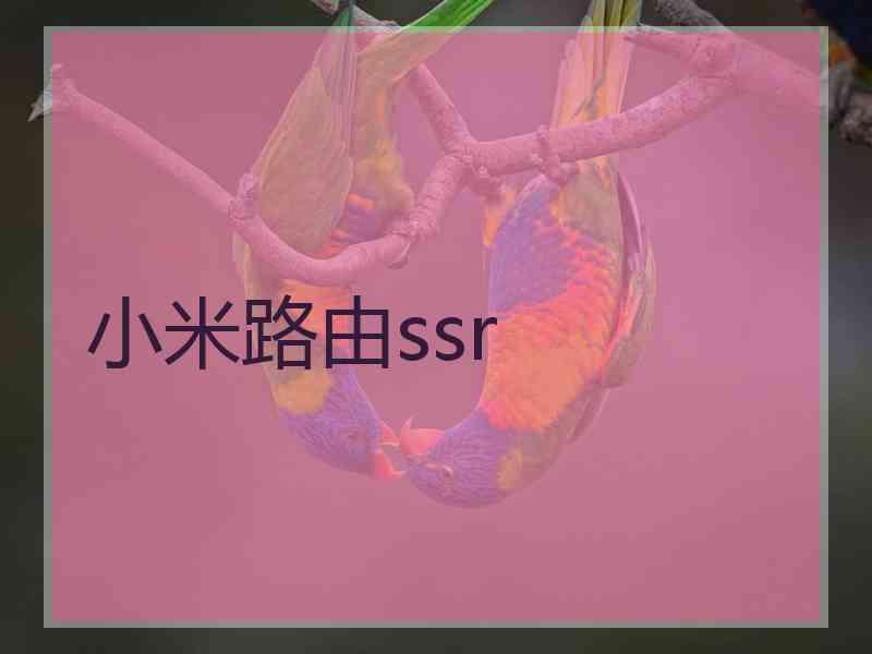 小米路由ssr