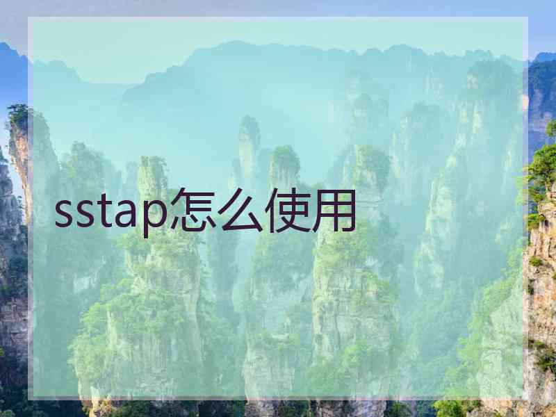 sstap怎么使用