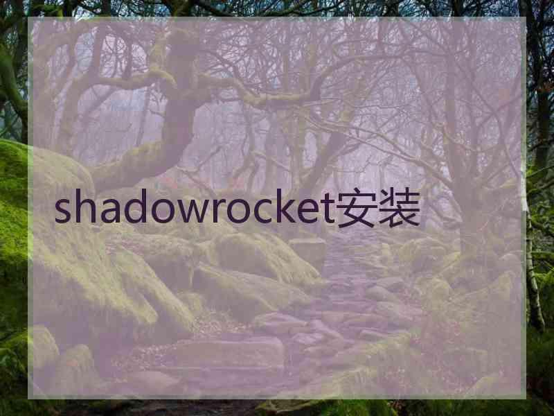 shadowrocket安装