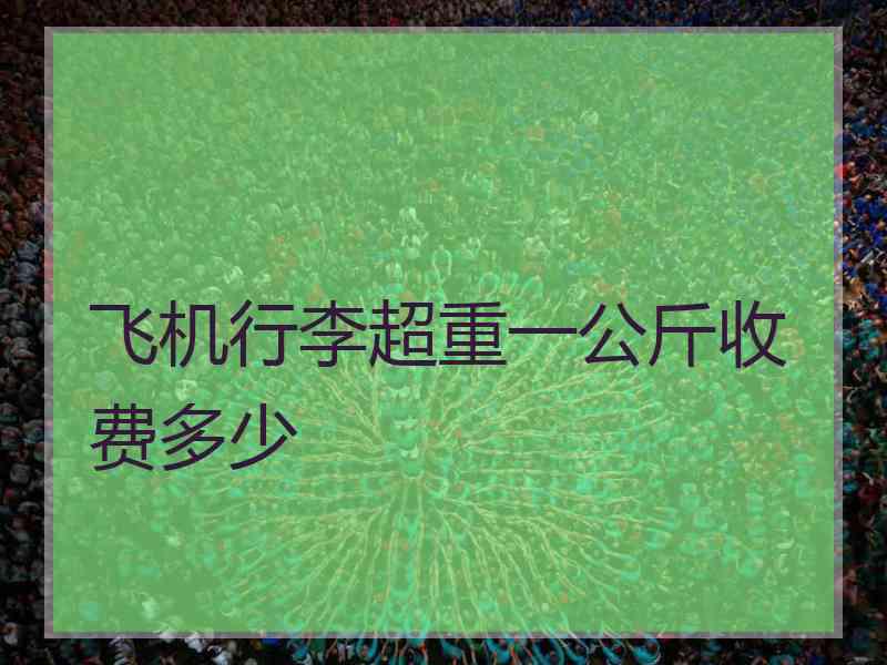 飞机行李超重一公斤收费多少