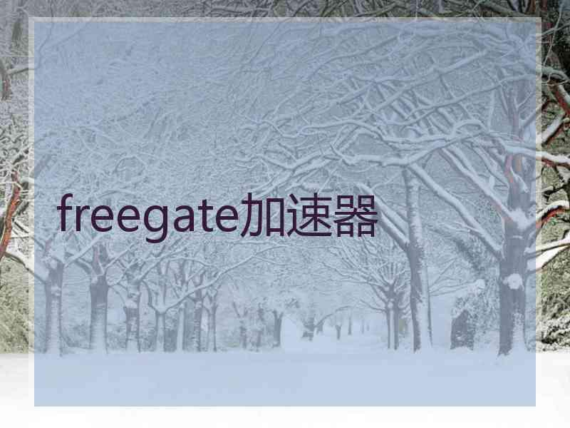 freegate加速器