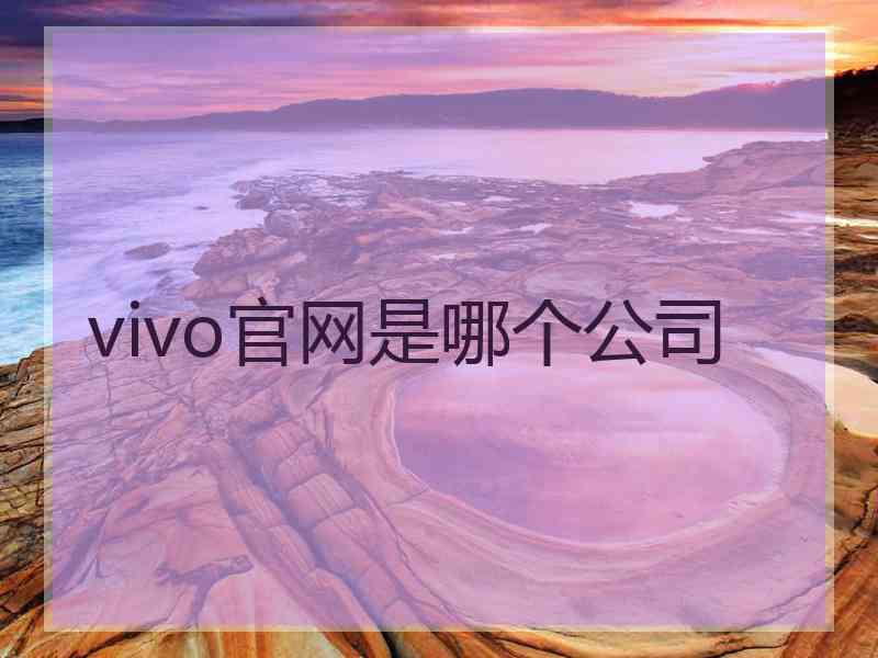 vivo官网是哪个公司