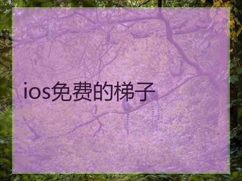 ios免费的梯子