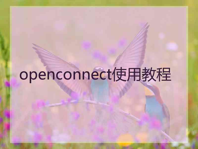 openconnect使用教程