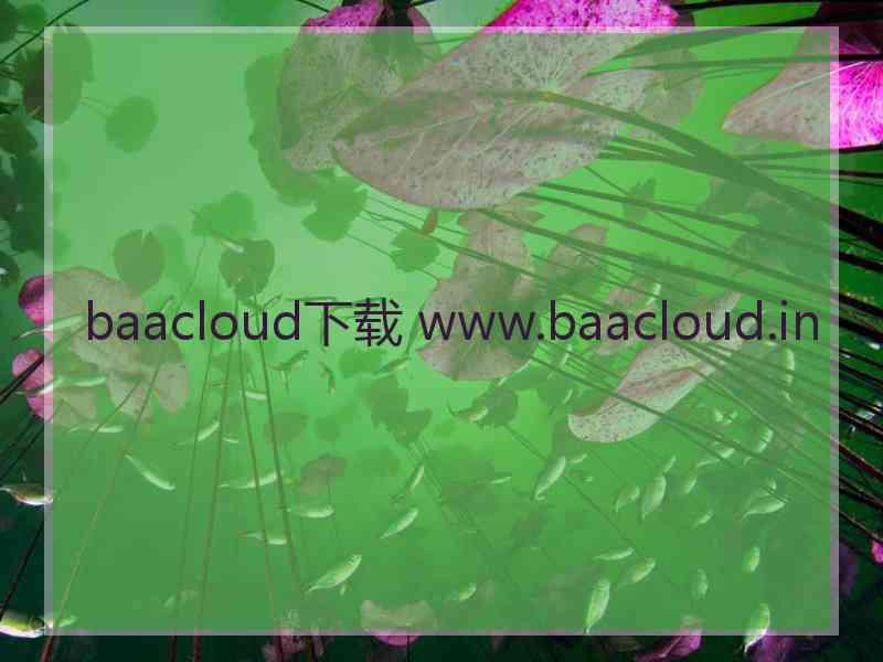 baacloud下载 www.baacloud.in