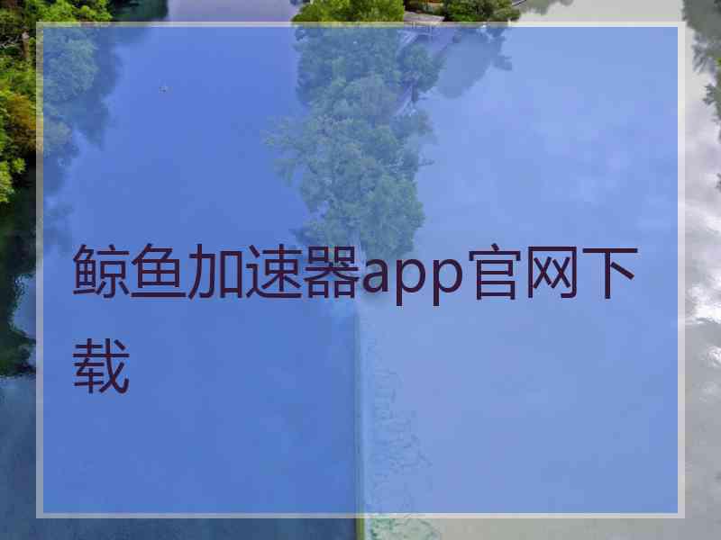 鲸鱼加速器app官网下载