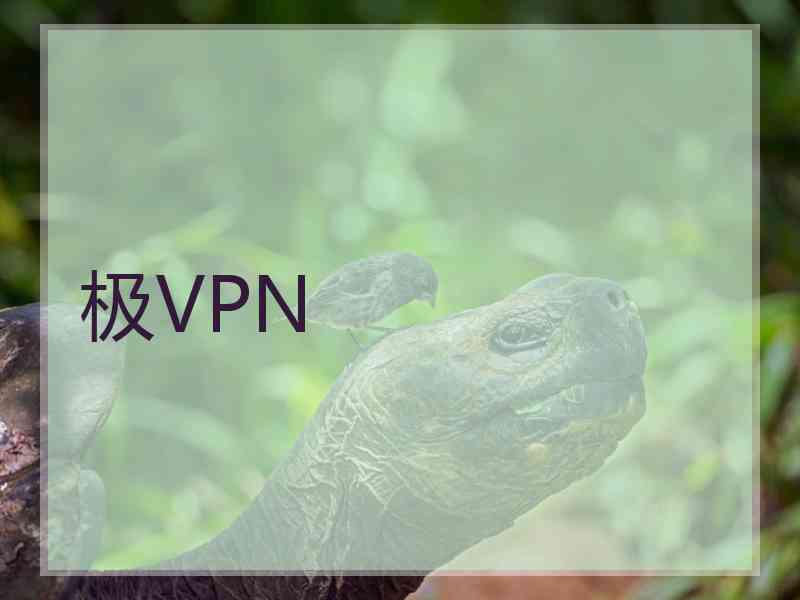 极VPN