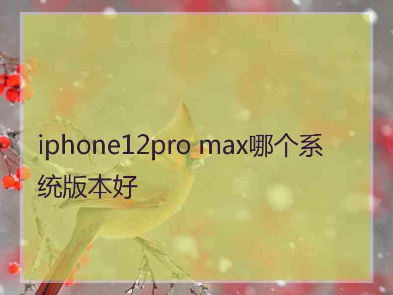 iphone12pro max哪个系统版本好