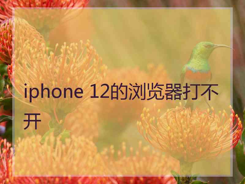 iphone 12的浏览器打不开