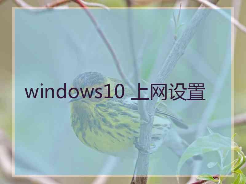 windows10 上网设置