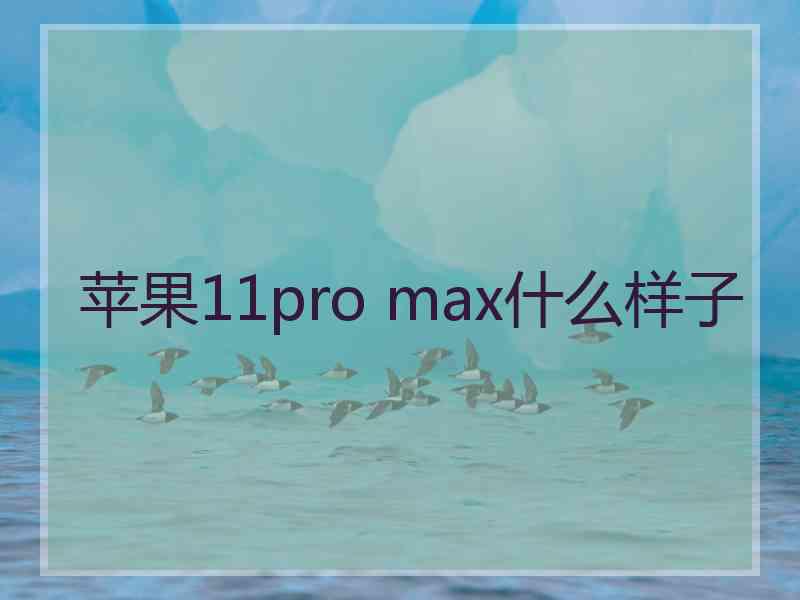 苹果11pro max什么样子