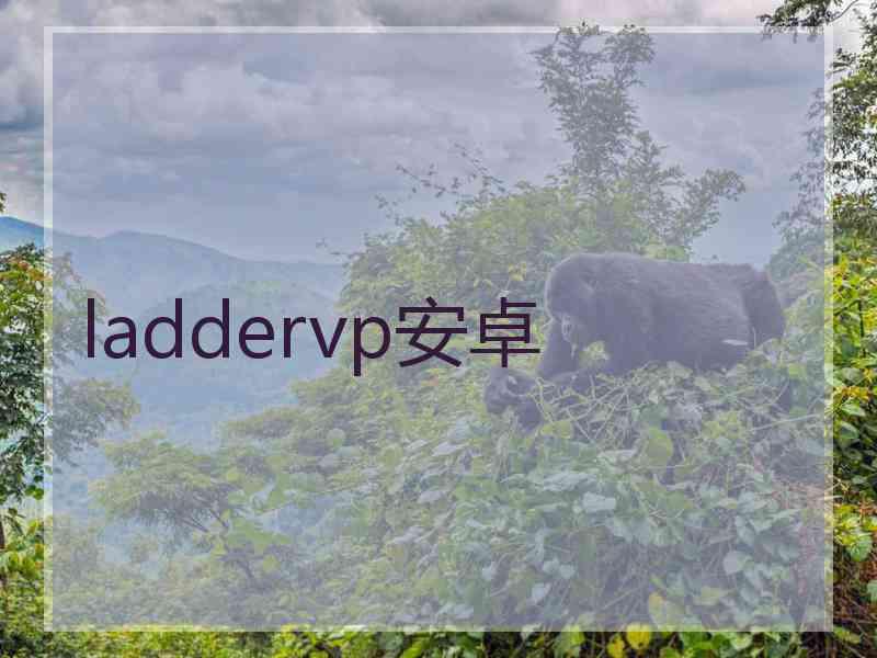 laddervp安卓