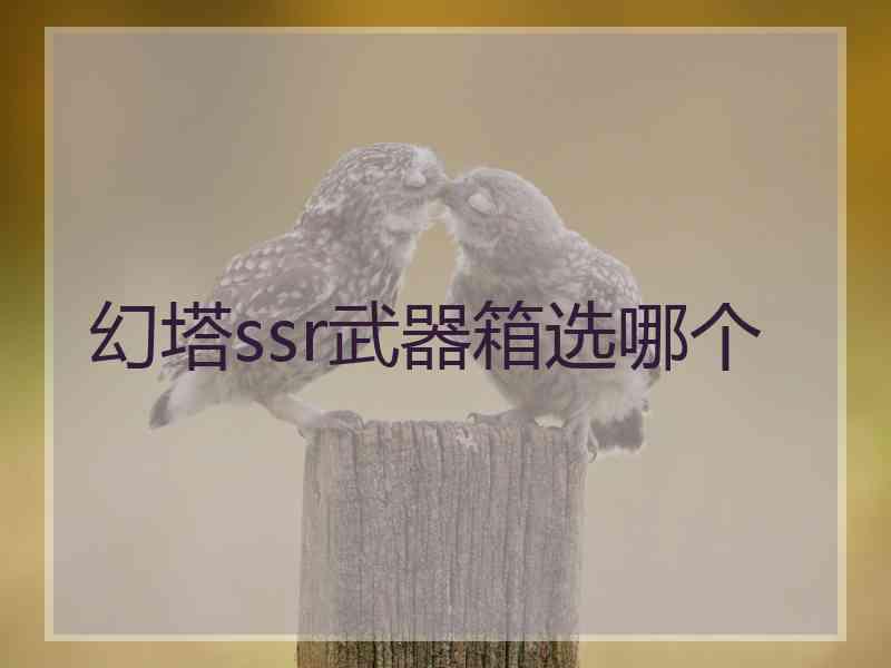 幻塔ssr武器箱选哪个