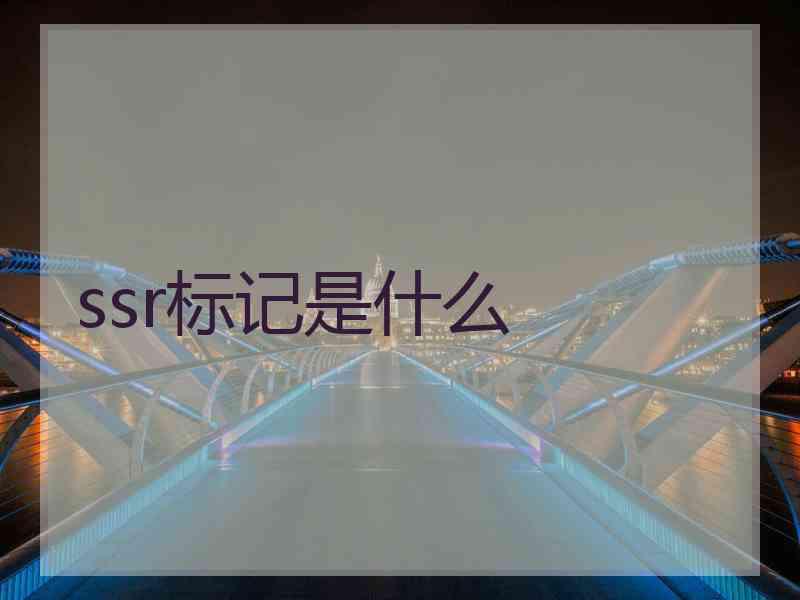 ssr标记是什么