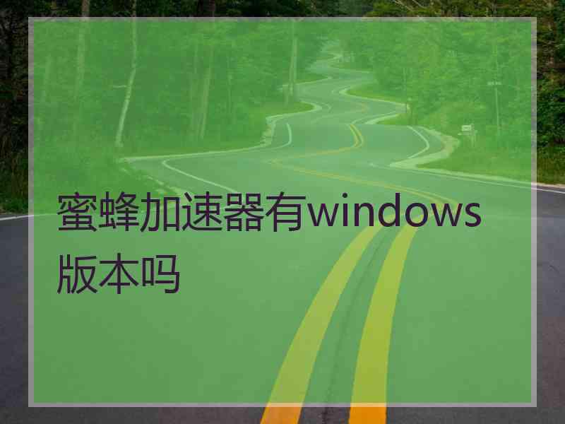 蜜蜂加速器有windows版本吗