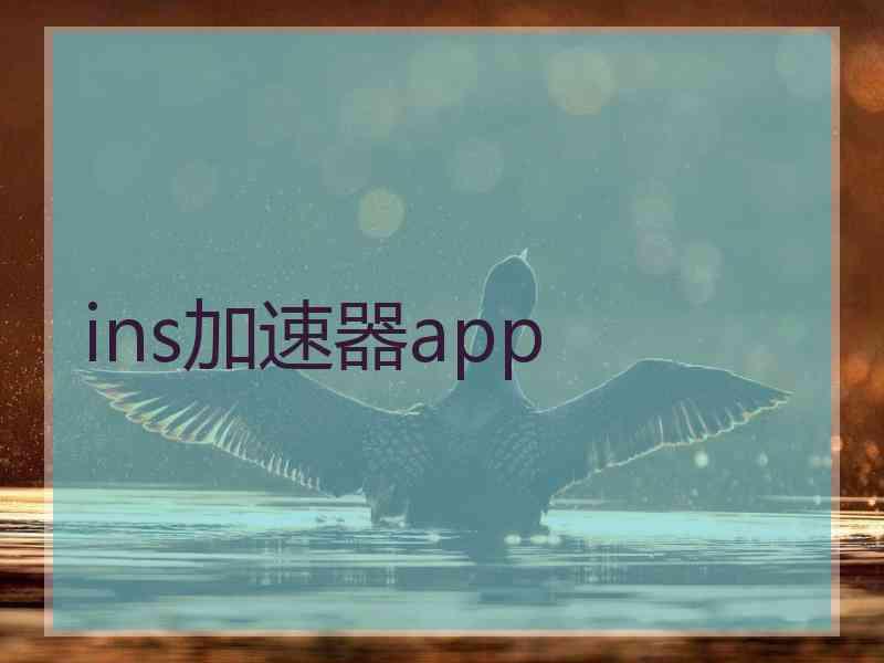 ins加速器app