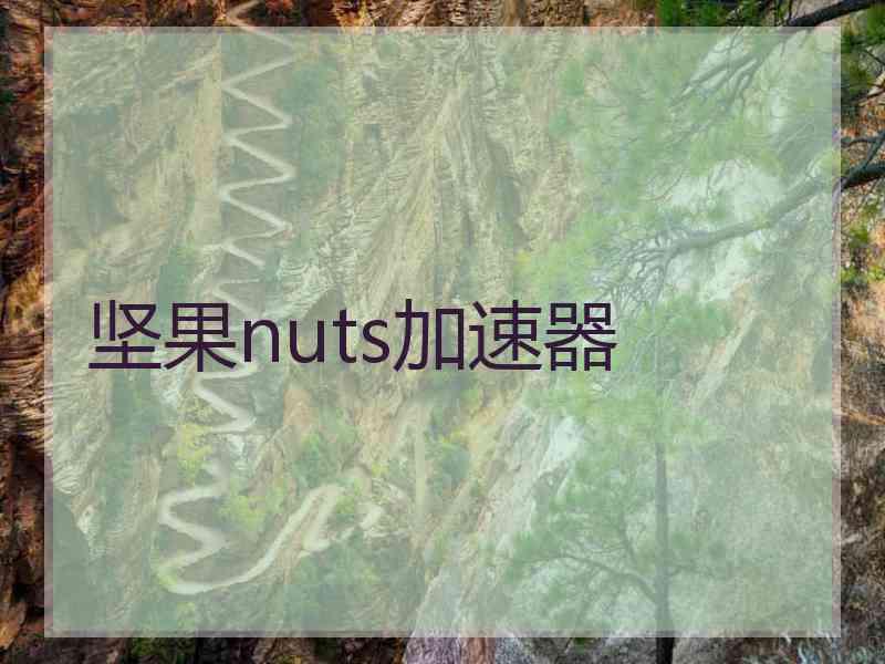 坚果nuts加速器