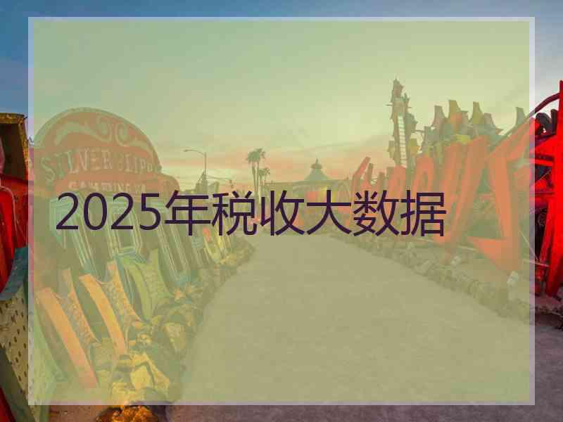 2025年税收大数据