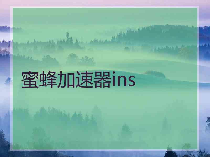 蜜蜂加速器ins