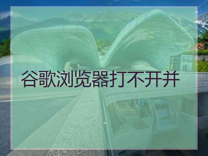 谷歌浏览器打不开并