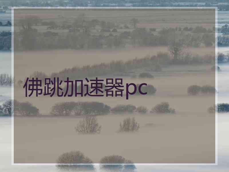 佛跳加速器pc