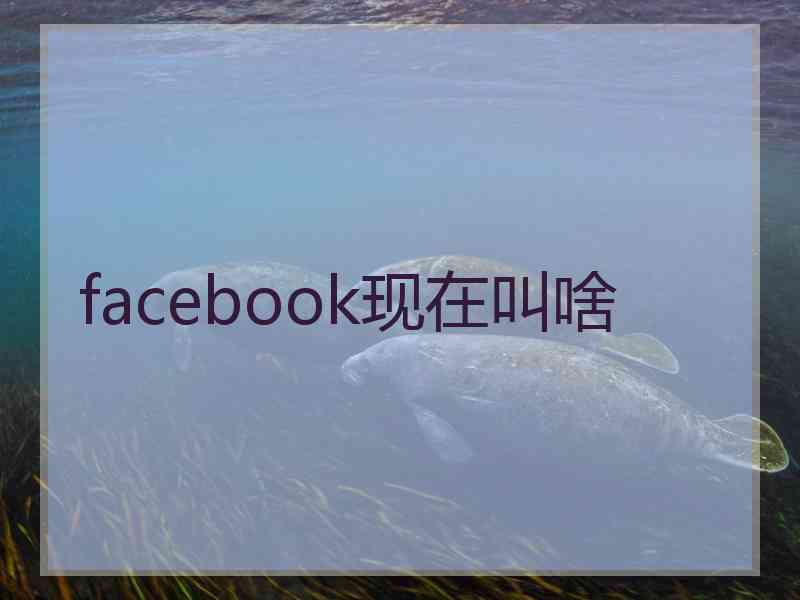 facebook现在叫啥